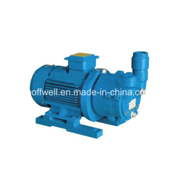 Water Ring Vacuum Pump (SZ)